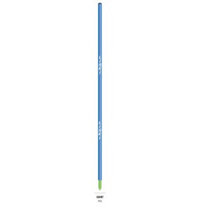 Slalåmport, Giant Basic10 Blå Ø30 H=205cm