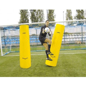 Goalkeeper proffesional